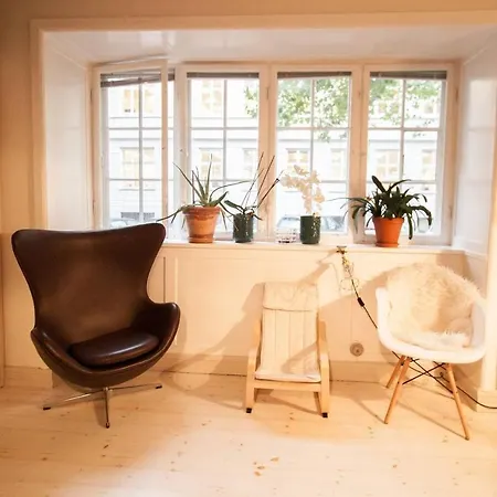 Spacious 140 Sqm In Central Apartment Copenhagen